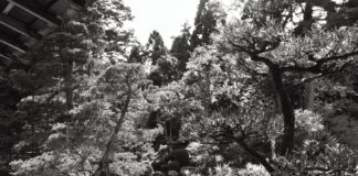 «Monogatari II», ένα φωτο-ποιητικό αφήγημα του Δημοσθένη Αγραφιώτη (της Ελισάβετ Αρσενίου)