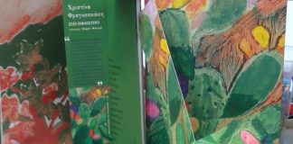 Λυρικές καταδύσεις … μ’ ένα ηφαίστειο στην καρδιά ( της Ελπινίκης Νικολουδάκη-Σουρή)
