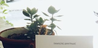 O φόνος του λευκού (της Βαρβάρας Ρούσσου)