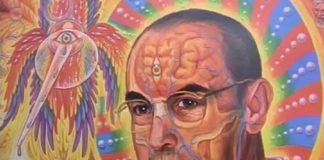 O Albert (του LSD) και οι άλλοι (του Σάκη Παπαδημητρίου)