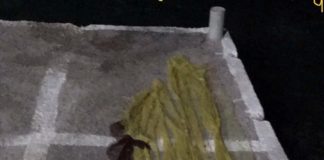 Το παιδί με τα πέπλα (διήγημα του Νίκου Αδάμ Βουδούρη)