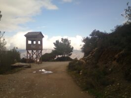 Πορεία προς τη Δαμασκό (γράφει ο Γιώργος Δρίτσας)