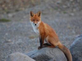Ο άνισος αγώνας με το παρελθόν (γράφει η Άννα Λυδάκη)