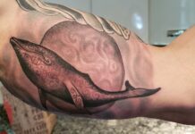 Οι αλληγορίες της εγγαστρίμυθης φάλαινας (γράφει η Αθηνά Δημητριάδου)