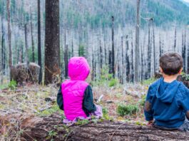 Σώστε το δάσος! (της Σίσσυ Τσιφλίδου)