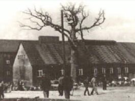 Η μουσική ως ιστορική μνήμη (του Τέλη Σαμαντά)