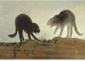 Στη νήσο Ελ Ιέρο (διήγημα της Ιωάννας Παπαγιάννη)