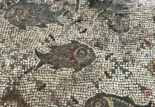 Οι ουρές,οι επιθυμίες και η μνήμη (γράφει η Λένα Αλμπάνη)