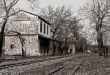 Ντίνου Φλαμάντ και Πάμπλο Νερούδα: δυο μεταφράσεις – δυο εξορίες (της Έφης Κατσουρού)