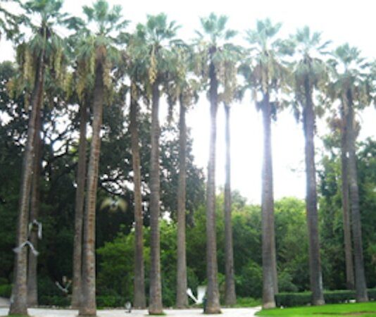 Διχασμός και πολλαπλότητα (γράφει ο Βαγγέλης Δημητριάδης)