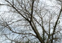 Ο χρόνος σε τίτλους (της Βαρβάρας Ρούσσου)