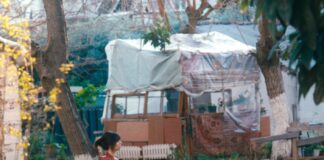 Όπως η Αλίκη (διήγημα της Γεωργίας Συλλαίου)