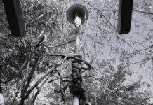 Εδέμ (του Φώτη Θαλασσινού)