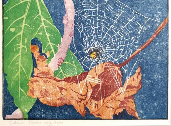 Leaves, spider