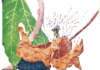 Η μεταφυσική του καλού κηπουρού – στ΄ ζ’ η΄ (του Μιχάλη Μακρόπουλου)