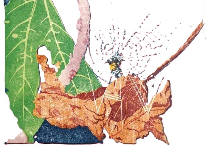 Leaves-spider-e1790585356357