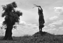 ¨Το Άλογο Του Τορίνο¨, του Μπέλα Ταρ: «Στον βαθμό μηδέν της ύπαρξης και της γραφής» (του Μανώλη Γαλιάτσου)